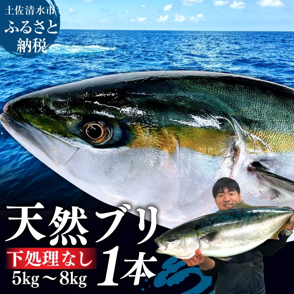 
                  【先行受付】土佐清水産天然ぶり まるごと１本（5kg～8kg）鰤 ブリ 鮮魚 一匹 下処理なし（内臓除去無し）【※着日指定不可※】ぶり大根 刺身 ぶりしゃぶ 天然【R00873】
                