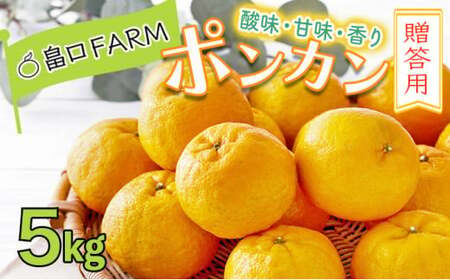 ＜先行予約＞ポンカン【贈答用】5kg 【畠口FARM（畠口　佳養）】