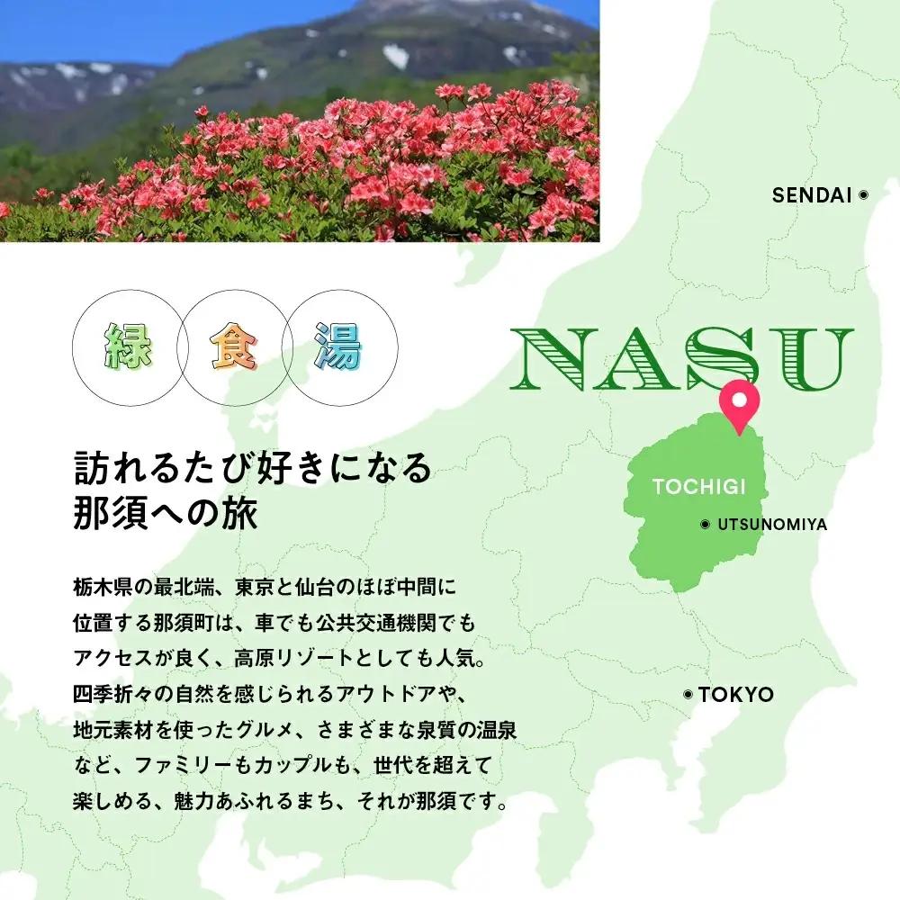 栃木県那須町で使える 共通宿泊利用券 90,000円分（3,000円×30枚）〔K-7〕｜宿泊 旅行 チケット 宿泊券 温泉 露天風呂 旅行券 ホテル 観光 国内旅行 那須 栃木県 那須町