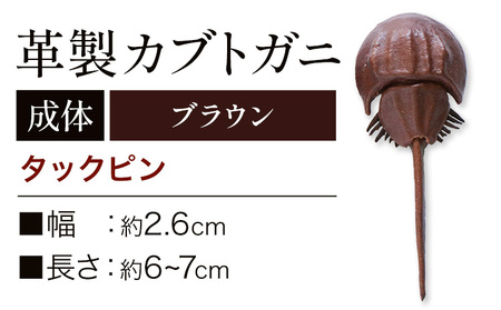 レザー革製 カブトガニタックピン ブラウン アクセサリー