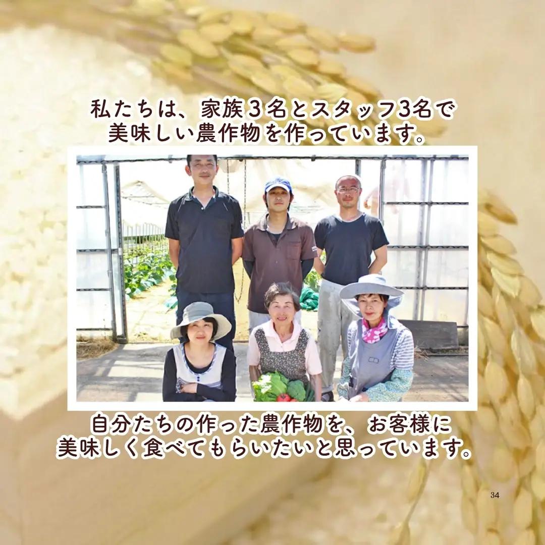 【定期便12回】令和8年産 新米 新之助 10kg×12回(計120kg) 渡辺農園 先行予約 | 新潟県産 白米 米 五泉市 しんのすけ