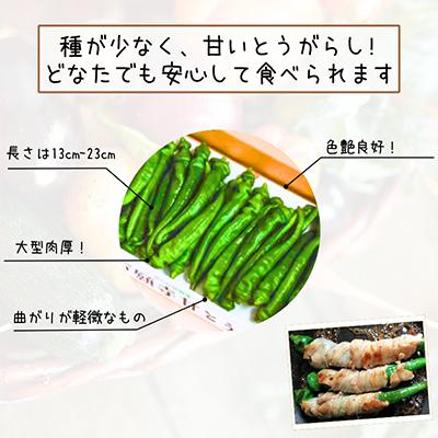 ふるさと納税 舞鶴市 甘い!美味い!辛くない!京のブランド産品「万願寺甘とう」1kg |  | 03