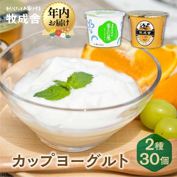 【ふるさと納税】【寄附額見直しました！】【年内配送が選べる】＜牧成舎＞ 飛騨の牛乳屋のこだわりヨーグルト (30個セット) | 発送時期が選べる 年内発送 おいしい ヨーグルト 食品 健康 濃厚 朝食 牧場 飛騨高山 DF012VP