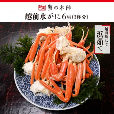 越前水がに　浜ゆで　6肩 (3杯分)セット　2026年2月～3月順次発送【配送不可地域：離島・北海道・沖縄】【1630794】