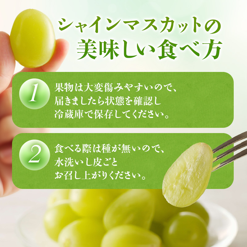 【2026年先行受付】 シャインマスカット 晴王 秀品 大房 約2kg(2～5房) 岡山県産 ぶどう 葡萄 ブドウ ギフト 御礼 プレゼント 御礼 御祝 御供 果物 くだもの フルーツ
