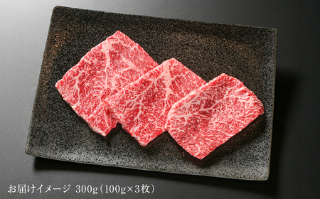 飛騨牛 赤身ステーキ 300g（100g×3） 冷凍真空パック | 肉 お肉 ステーキ モモ肉 黒毛和牛 和牛 人気 おすすめ 牛肉 ギフト お取り寄せ 7日以内お届け[MZ025]