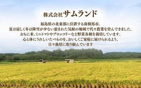【定期便】コシヒカリ 白米 30キロ (5kg×6回) 令和8年産 | コシヒカリ サムランド