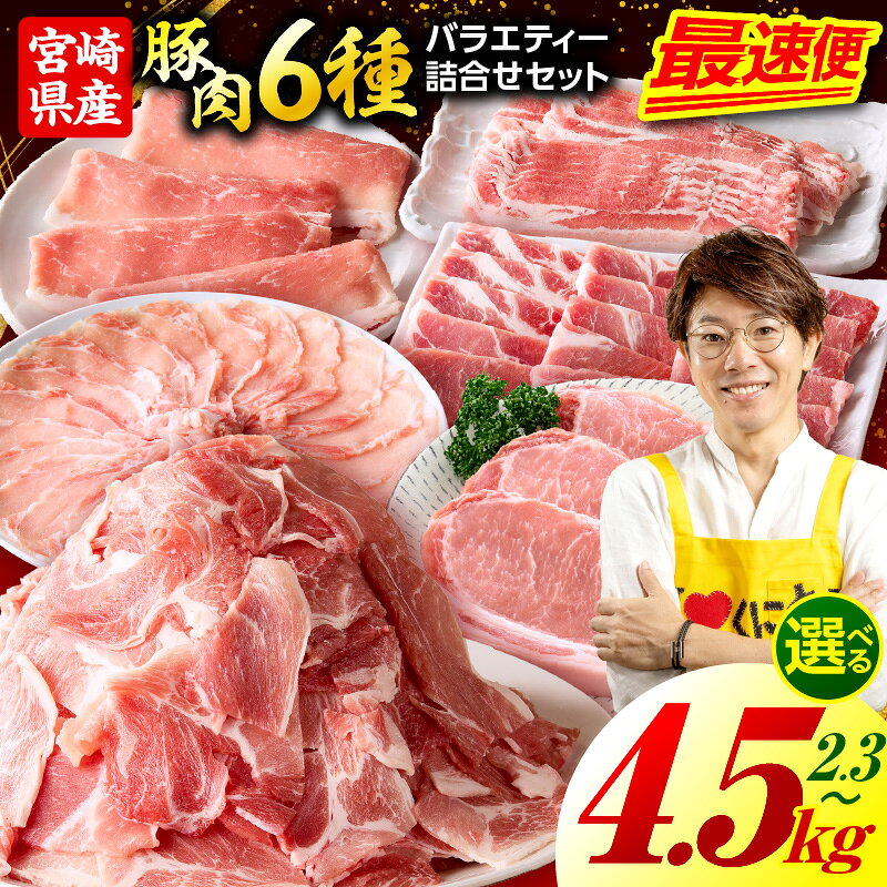 【ふるさと納税】【選べる内容量】豚肉バラエティー詰合せセット 豚肉 豚 肉 お肉 精肉 セット 切り落とし ミンチ ハンバーグ ロース 国産 小分け 詰め合わせ しゃぶしゃぶ とんかつ スライス 焼肉 バラ 肩ロース 贈答用 ご褒美 お祝い 宮崎県産 送料無料