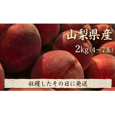 【2027年発送 先行受付】農家直送の桃　2kg【配送不可地域：離島】