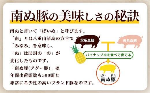 南ぬ豚 切り落とし 1kg (250g×4) 自家用 | 沖縄県石垣市 送料無料 アグー豚 豚肉 肉 石垣 石垣島 沖縄 八重山 小分け E-033