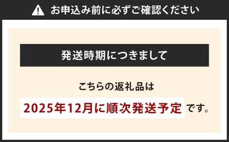 福岡県産特産品 うまもぐ厳選果物 福岡県産 博多あまおう DX上級品 約500g（約250g×2パック入り）【2025年12月発送】あまおう いちご 苺 イチゴ 果物 フルーツ