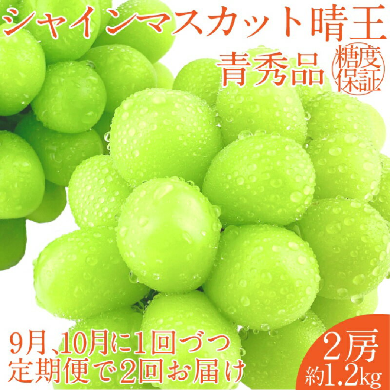 【ふるさと納税】2026年 予約受付中【2回定期便】 シャインマスカット 晴王 2房約1.2kg 9月10月に1回づつ出荷/ 岡山県産 種無し 皮ごと食べる みずみずしい フレッシュ　 晴れの国 おかやま 果物大国 彩美菜果　お届け：2026年9月〜2026年10月下旬