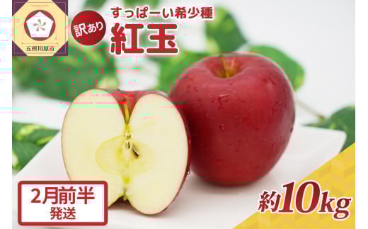 紅玉10kg 程度 紅玉リンゴ 訳あり 青森|タルトタタン に最適 不揃い りんご 【2月前半発送】