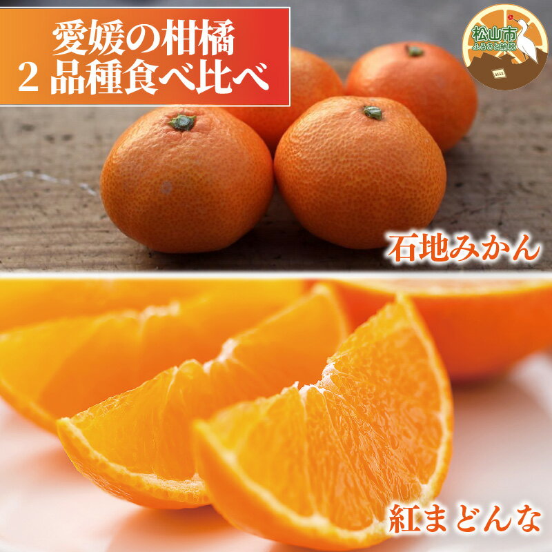 【ふるさと納税】 【2026年1月発送予定】 紅まどんな・石地みかん食べ比べセット 【紅まどんな 約3kg】【石地みかん(家庭用・優品) 約5kg】 | 柑橘食べ比べ みかん 紅マドンナ 愛果 ミカン 柑橘 かんきつ あいか フルーツ たべくらべ 柑橘 果物 愛媛県 松山市 ココオ Koko'o