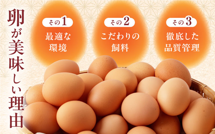 【全12回定期便】熊本県産 蘇陽の月 30個入り ( 10個入り × 3パック ) 山都町 たまご 卵【蘇陽農場】 [YBE020]