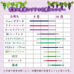 岡山　花笑み農園 の『シャインマスカット』800g以上(大1房)　S-大1　【9月下旬～順次発送】【配送不可地域：離島】【1628327】