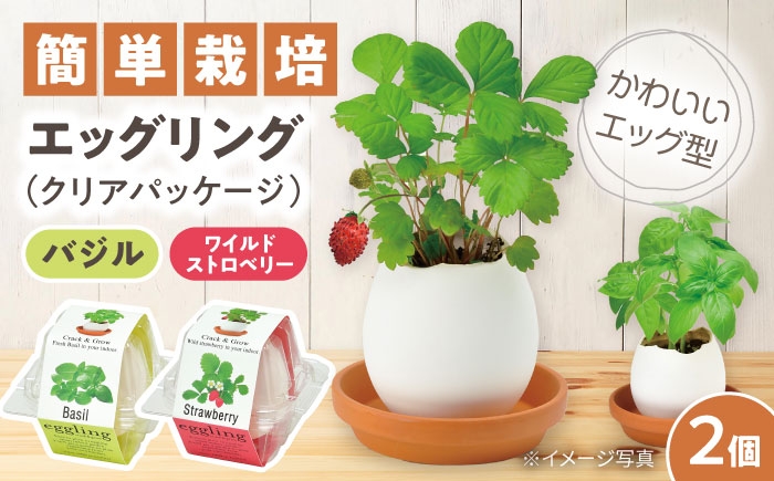 
                  エッグリング クリアパッケージ 2個（バジル、ワイルドストロベリー） / 栽培キット 園芸 ハーブ / 瀬戸市 / 聖新陶芸 [BBEK002]
                