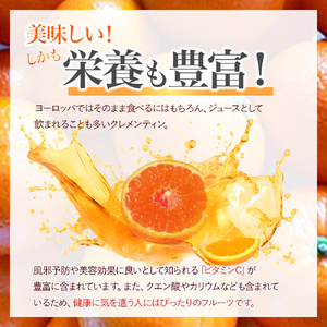 山本農園のクレメンティン ３kg クレメンティン みかん 柑橘 国産 オレンジ マンダリン 希少 ジューシー くだもの 果物 フルーツ 新鮮 贈り物 ギフト 佐賀県 太良町 L41
