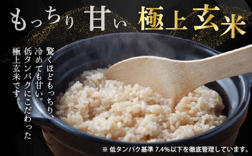 【2027年2月発送】令和 8 年産 新米 【 配送時期が選べる 】 奈井江町 ゆめぴりか 玄米 30kg 特 A ランク評価 低タンパク追求 JA 新すながわ 大容量 クリーン農業 北海道米 ブラン