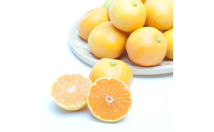 厳選 ハウスみかん0.5kg+250g（傷み補償分）