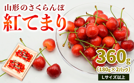 山形のさくらんぼ 紅てまり 360g Lサイズ以上 (180g×2パック) 【令和8年産先行予約】FS25-016