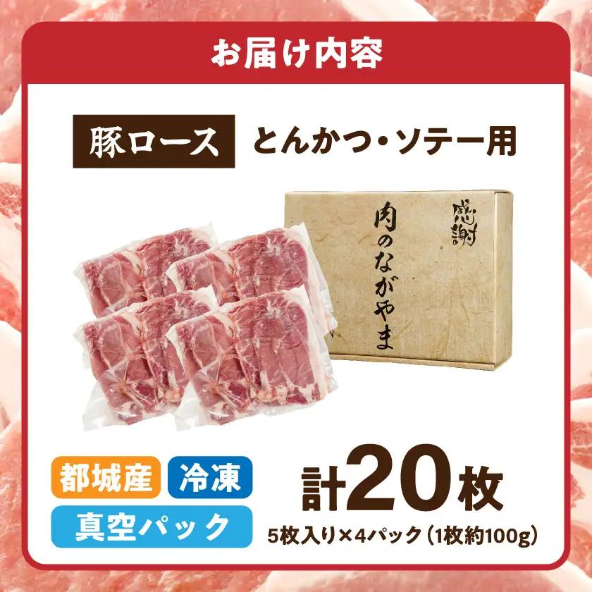 豚ロースとんかつ・ソテー用20枚 - 〔AA-2506〕_ (都城市) 豚肉 100g×5枚×4パック 真空パック 冷凍保存