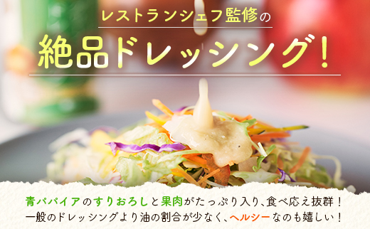 青パパイアドレッシング 900ml 業務用 国産 万能 調味料【A317】