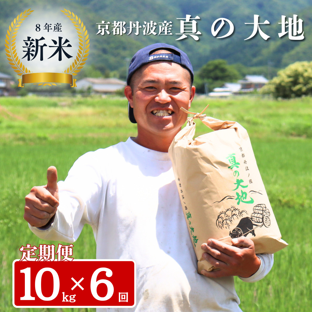 定期便 令和8年産 京都丹波産 コシヒカリ 10kg 6回 京都 お米 米 令和8年 10キロ 新米 新米26