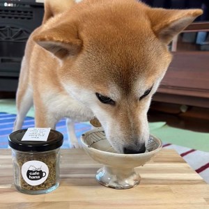 cafe hana 牛タン そぼろ 5瓶 セット ソフトふりかけ 愛犬への贈り物 ご飯 ドッグフード ペットフード 無添加 手作り 舞鶴 京都 愛犬 dog 犬 犬用