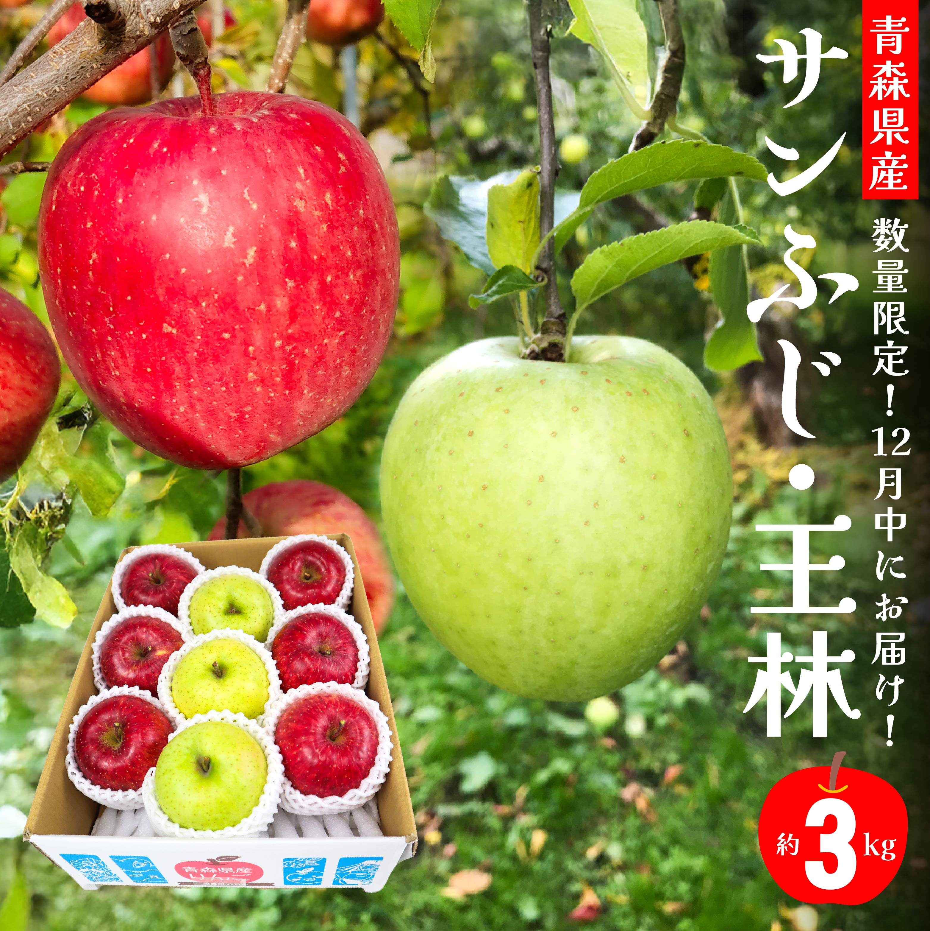 【ふるさと納税】12月中にお届け！ 青森県産 サンふじ 王林 りんご 3kg おうりん 林檎 果物 フルーツ セット 詰合せ 年内配送 家庭用 贈答用 送料無料