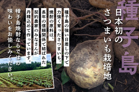 【宇宙に一番近い蔵】ロケット打上記念宇宙だより 南泉25%900ml3本セット【上妻酒造】