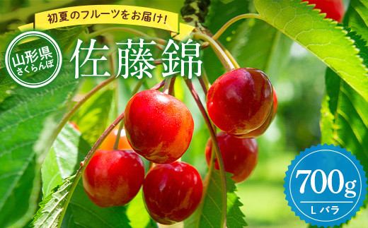 《先行予約 2026年度発送》佐藤錦 700g 秀品 Lバラ FSY-0668