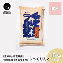 【ふるさと納税】【玄米6ヶ月定期便】特別栽培「きなうす米」ふっくりんこ5kg×6回