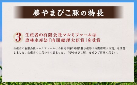 夢やまびこ豚 焼肉セット 1kg 5種類 (ロース・肩ロース・バラ・ヒレ・小間切れ)