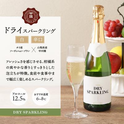 ふるさと納税 甲府市 サドヤ ドライスパークリングワイン |  | 01