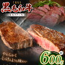 【ふるさと納税】熊本県産 黒毛和牛 モモ ステーキ 約 600g | 肉 にく お肉 おにく 牛 牛肉 和牛 モモ肉 モモステーキ 熊本 送料無料 玉名 熊本