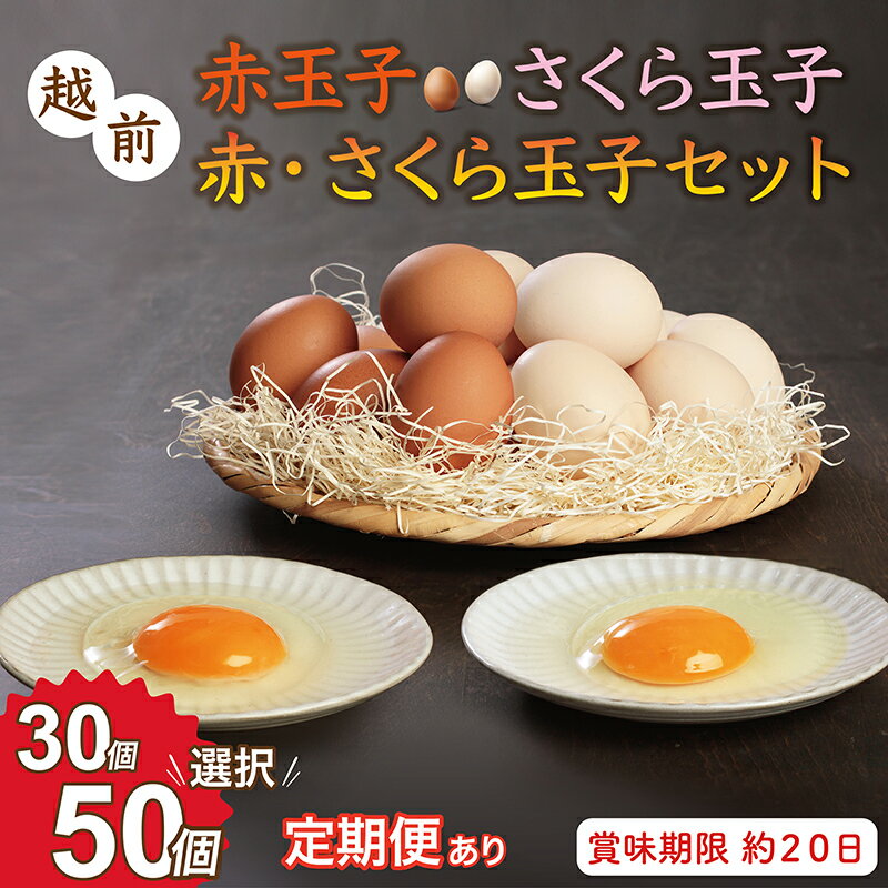 【ふるさと納税】お届け日指定可　越前産 赤玉子 さくら玉子 赤玉子とさくら玉子セット　30個（27個＋割れ補償3個入り）　または 50個（45個＋割れ補償5個入り）定期便 3回 6回 12回／送料無料 福井県 越前市 卵 たまご タマゴ (18209)