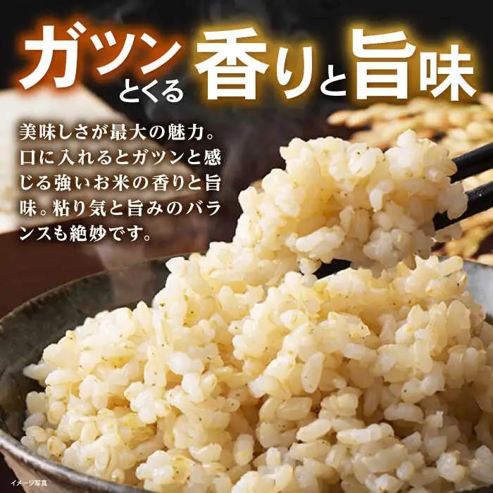 米 コシヒカリ JASオーガニック 30kg [AQBL011]玄米