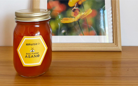 純粋ハチミツ ソヨゴ 500g×1 瑞浪市 / honey shop Bee farm asano 蜂蜜 はちみつ [AZBT011]