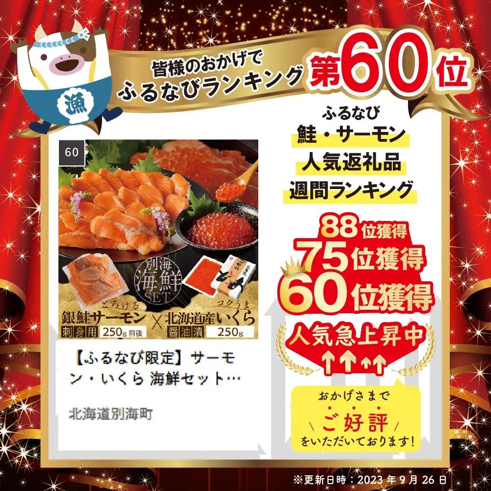 サーモン ･ いくら 海鮮福袋セット 各250g （ 海鮮福袋セット サーモン いくら イクラ 鮭卵 醤油漬け セット 北海道 人気 ふるさと納税 ）