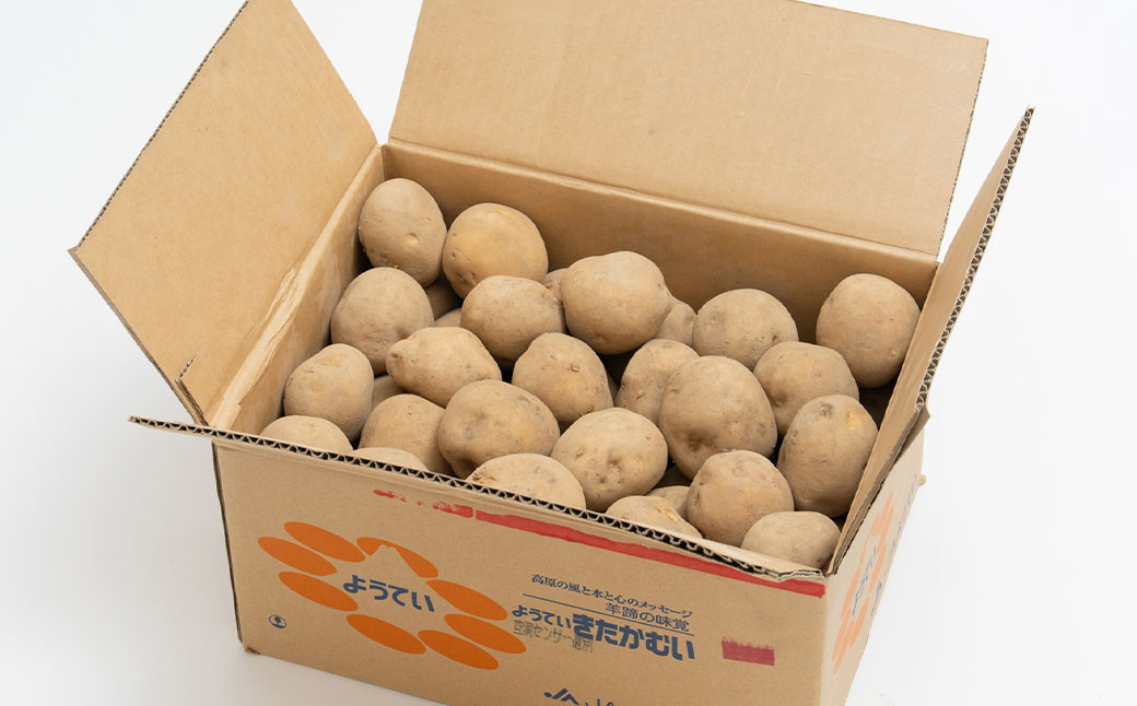 じゃがいも きたかむい Lサイズ 約10kg×1箱 計約10kg （JA）