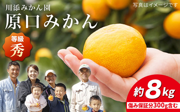 【11下旬より配送☆秀品】原口みかん 約8kg（傷み保証分300g含む）＜川添みかん園＞ [CCT003] みかん