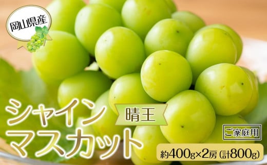 岡山県産 ぶどう  2025年発送 ご家庭用 シャインマスカット 晴王 約400g×2房 計800g ｜フルーツ 果物 くだもの ぶどう ブドウ シャインマスカット 晴王 ご家庭用 国産 岡山県産 食品 人気 おすすめ 先行予約 送料無料 ギフト 贈り物 贈答品 プレゼント 果物 くだもの フルーツ ぶどう ブドウ シャインマスカット 晴王