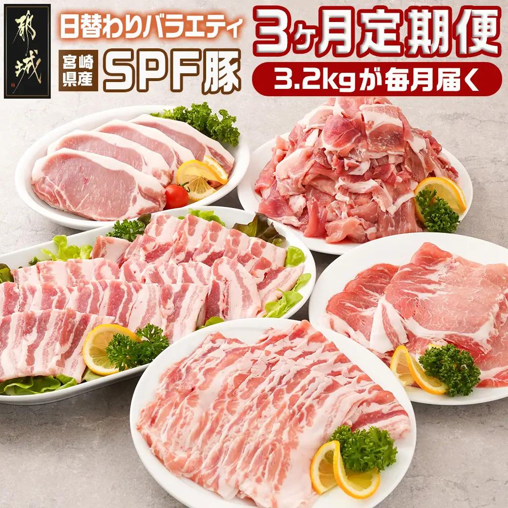 ≪3回連続お届け≫「宮崎SPF豚」日替わりバラエティセット定期便〔T48-3-K901〕_(都城市) 宮崎県産豚 小間切れ ロース 肩ローススライス バラ ステーキ 焼肉 しゃぶしゃぶ 真空
