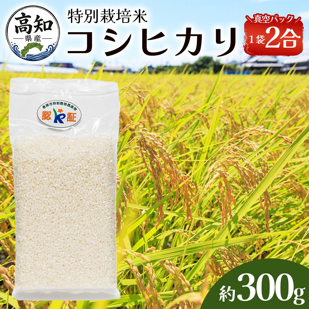 【ふるさと納税】米（コシヒカリ）2合（300g） - お米 精米 こしひかり 2合 特別栽培 真空包装 真空パック 手作業 使い切り SDGs 備蓄 贈り物 贈答 国産 高知県産 香南くろしお園 高知県 香南市 【常温】 ke-0058