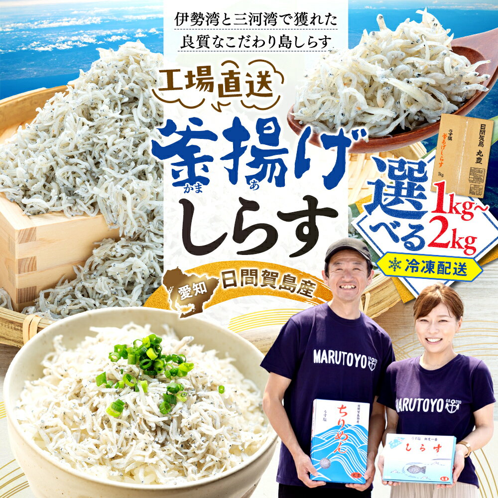 愛知県日間賀島産・1kg釜揚げしらす・島の工場から直送【配送不可地域：離島】
