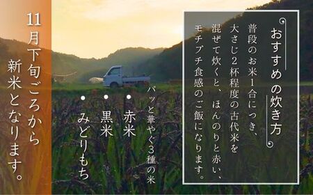 0B2-109 自然栽培 古代米 ブレンド