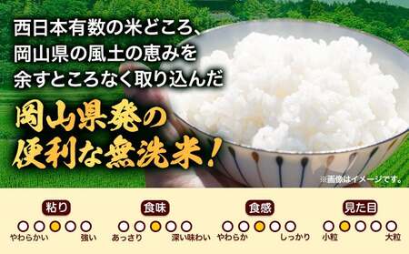 【12ヶ月定期便】晴れの国おかやま無洗米 20kg 無洗
