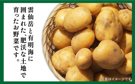 地元農家さんが収穫した旬のお野菜  10種詰め合わせ / 野菜 旬 新鮮 採れたて 季節野菜 旬野菜 農家直送 / 南島原市 / ミナサポ [SCW022]