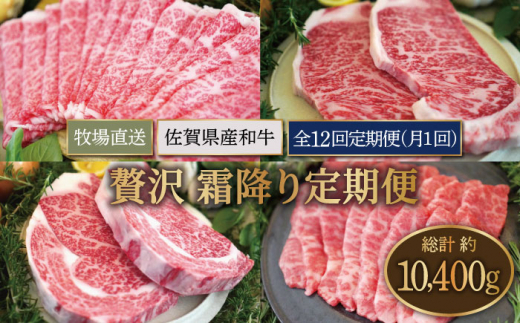 
【牧場直送】【12回定期便】佐賀県産和牛 贅沢 霜降り 定期便【有限会社セントラル牧場】 [IAH088]
